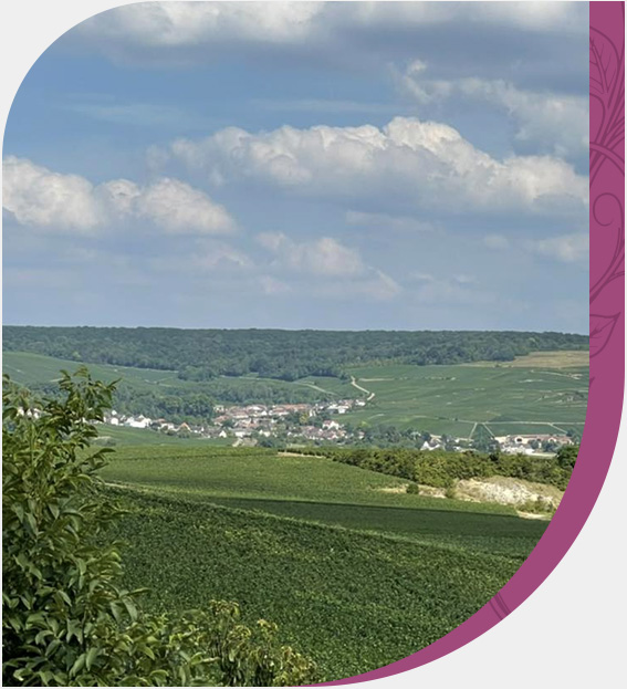 Vallée de la Marne